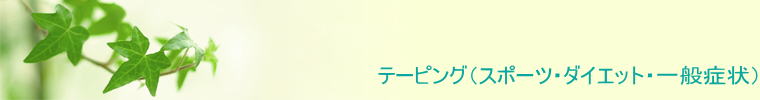 e[sOiX|[cE_CGbgEʏǏj