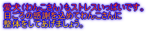 °¦¸¤¡Ê¤ï¤ó¤³¤µ¤ó¡Ë¤â¥¹¥È¥ì¥¹¤¤¤Ã¤Ñ¤¤¤Ç¤¹¡£ Æü¤´¤í¤Î´¶¼Õ¤ò¹þ¤á¤Æ¤ï¤ó¤³¤µ¤ó¤Ë À°ÂΤò¤·¤Æ¤¢¤²¤Þ¤·¤ç¤¦¡£